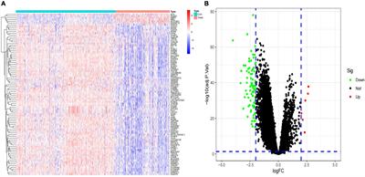 Feature Genes in Neuroblastoma Distinguishing High-Risk and Non-high-Risk Neuroblastoma Patients: Development and Validation Combining Random Forest With Artificial Neural Network